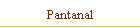 Pantanal